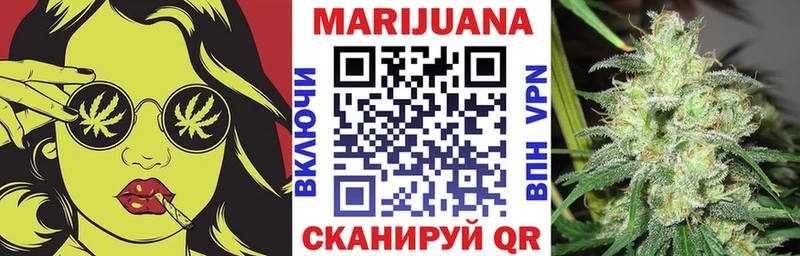 магазин продажи наркотиков  Гвардейск  Канабис SATIVA & INDICA 